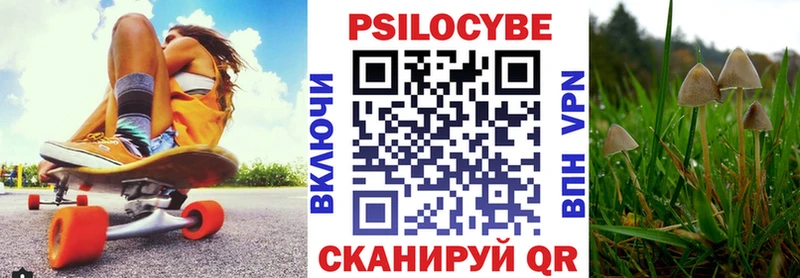 закладки  Ахтырский  Галлюциногенные грибы Magic Shrooms 